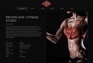wordpress website designer lake tahoe gym design